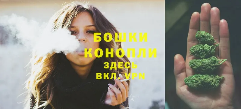 где купить наркоту  Вичуга  Конопля Ganja 